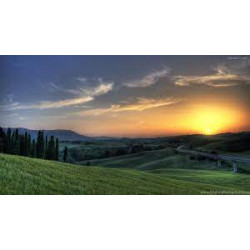 Nuevo producto test con acentos actualización